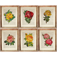 Set of 6 Rose Dictionary Art Print, Enchanting Flowers Wall Hanging