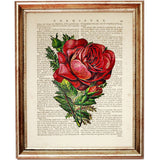 Set of 6 Rose Dictionary Art Print, Enchanting Flowers Wall Hanging