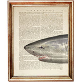 Vintage Great White Shark Dictionary Art Prints, Set of 3 Nautical Wall Decor