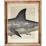 Vintage Great White Shark Dictionary Art Prints, Set of 3 Nautical Wall Decor