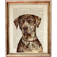 Set of 4 Catahoula Leopard Dog Dictionary Art Prints, Catahoula Decor