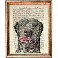 Set of 4 Catahoula Leopard Dog Dictionary Art Prints, Catahoula Decor