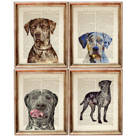 Set of 4 Catahoula Leopard Dog Dictionary Art Prints, Catahoula Decor