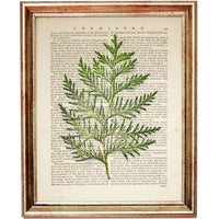 Botanical Green Leaf Eucalyptus Dictionary Art Prints, Greenery Wall Art Set