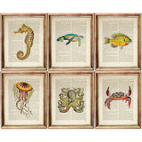 Set of 6 Ocean Life Dictionary Art Print, Ocean Treasures Wall Hanging