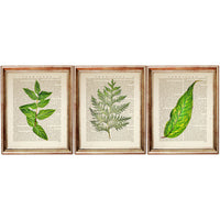 Botanical Green Leaf Eucalyptus Dictionary Art Prints, Greenery Wall Art Set