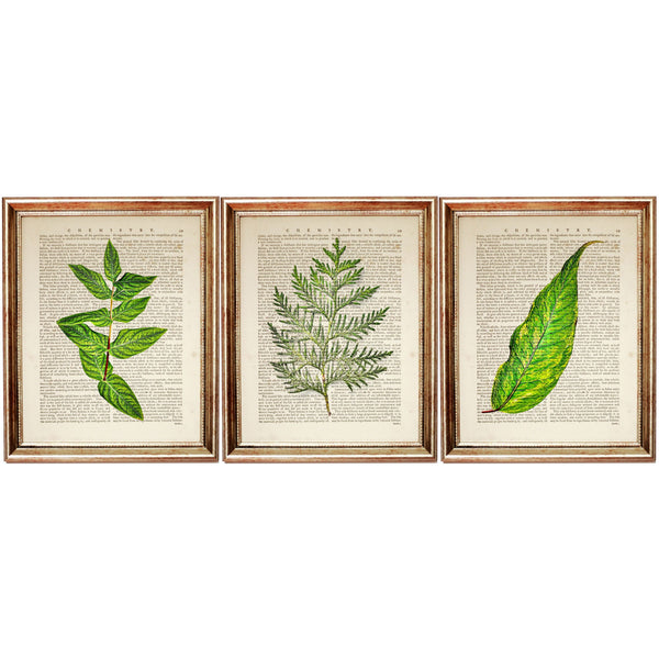 Botanical Green Leaf Eucalyptus Dictionary Art Prints, Greenery Wall Art Set