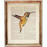 Set of 6 Stunning Bird Dictionary Art Prints, Flight of Elegance Decor