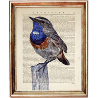 Set of 6 Stunning Bird Dictionary Art Prints, Flight of Elegance Decor