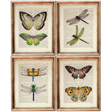 Set of 4 Butterflies & Dragonflies Dictionary Art Prints