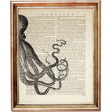 Octopus Art Prints Set of 2 - Sea Life Dictionary Nautical Poster Wall Decor