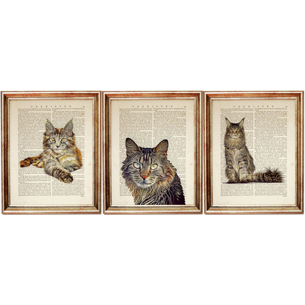 Maine Coon Cat Dictionary Art Prints - Set of 3 Nursery Wall Decor 8x10