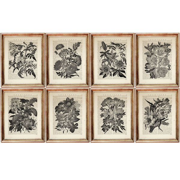 Set of 8 Flower Dictionary Art Prints, Monochromatic Blooms Poster