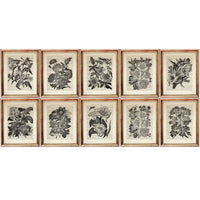 Botanical Dictionary Art Prints Set of 10 - Sunflower, Flower, Bee