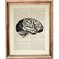 Set of 6 Human Anatomy Dictionary Art Prints, Anatomical Insights