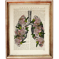 Medical Art Prints Set, Anatomy Heart Butterfly Skull Flower Crown Lung 5x7 Dictionary Art