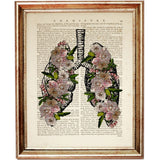 Medical Art Prints Set, Anatomy Heart Butterfly Skull Flower Crown Lung 5x7 Dictionary Art