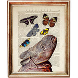 Rhinoceros Dictionary Art Prints Set of 3 Wall Art Butterflies Bees Poster