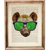 Set of 3 Hyena Portrait Dictionary Art Prints, Wild and Witty Poster