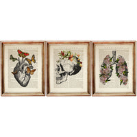 Medical Art Prints Set, Anatomy Heart Butterfly Skull Flower Crown Lung 5x7 Dictionary Art